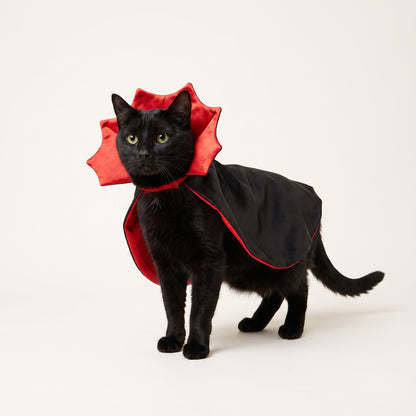 Petsona Cat Vampire Costume – Halloween Cloak & Hat Set